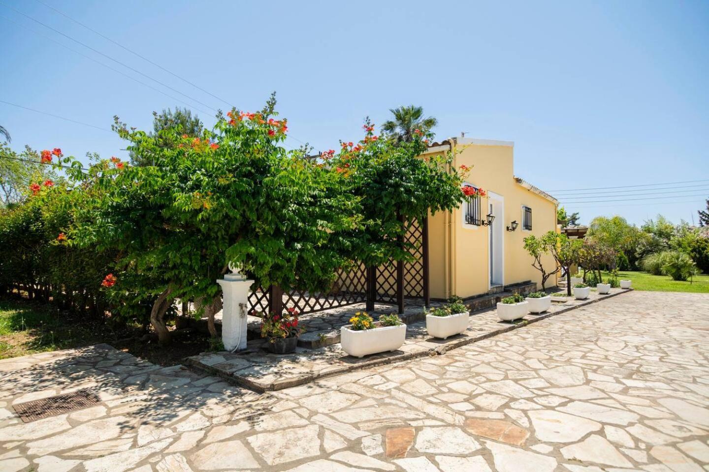 St. George Villa Агиос-Георгиос Экстерьер фото